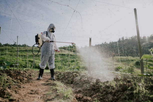 Best Pest Control for Homes  in Sherwood Manor, CT