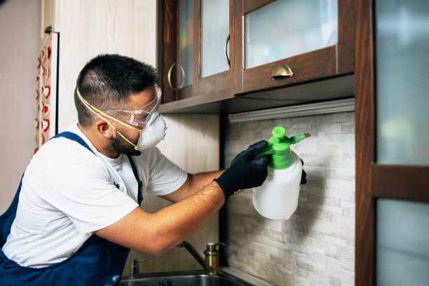 Pest Prevention Services in Sherwood Manor, CT