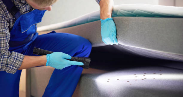 Best Wasp Removal Services  in Sherwood Manor, CT