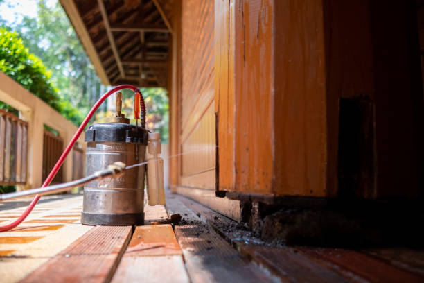 Best Affordable Pest Control Services  in Sherwood Manor, CT