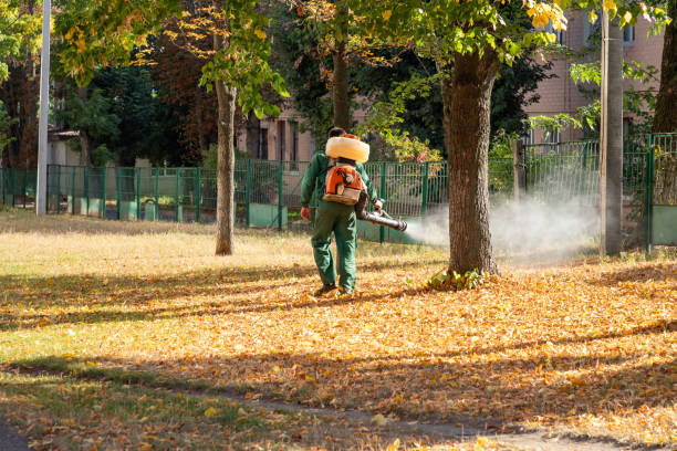 Best Commercial Pest Control Services  in Sherwood Manor, CT